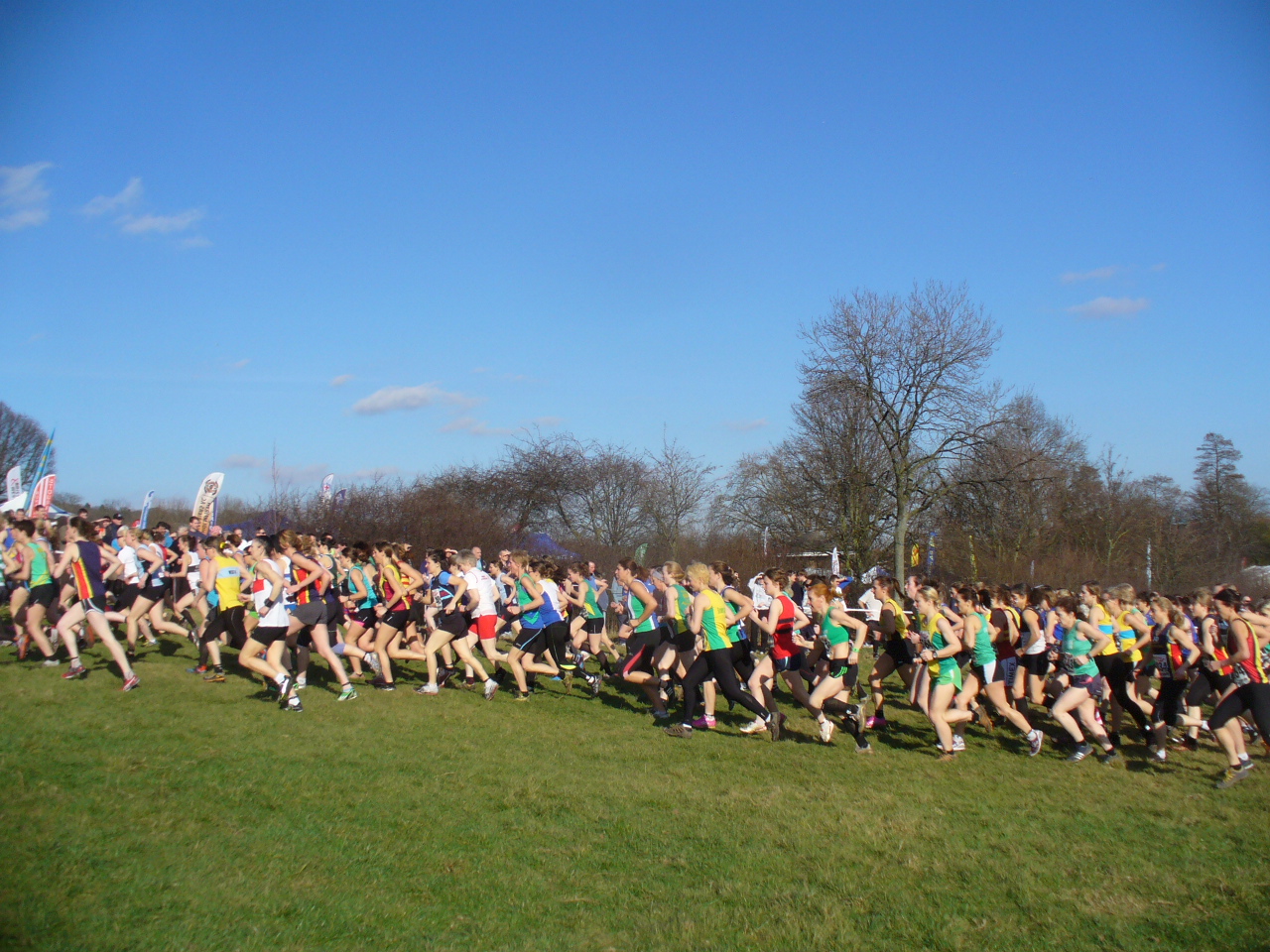 Half Marathon